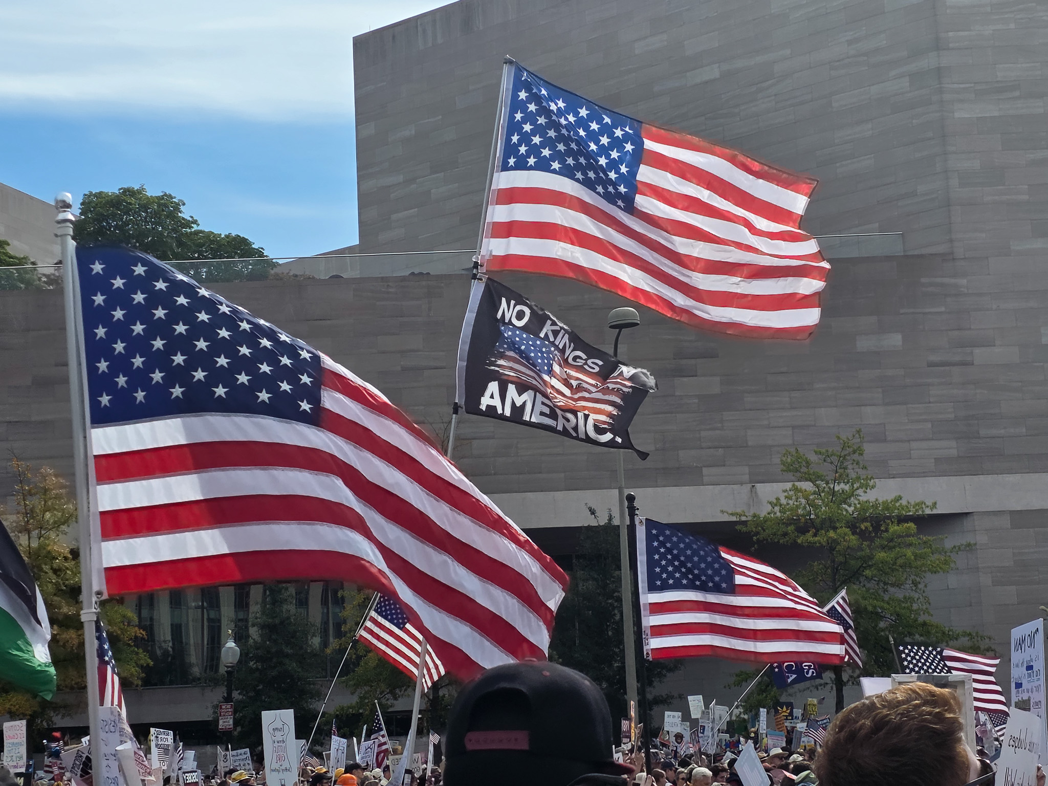 No King and American Flags
