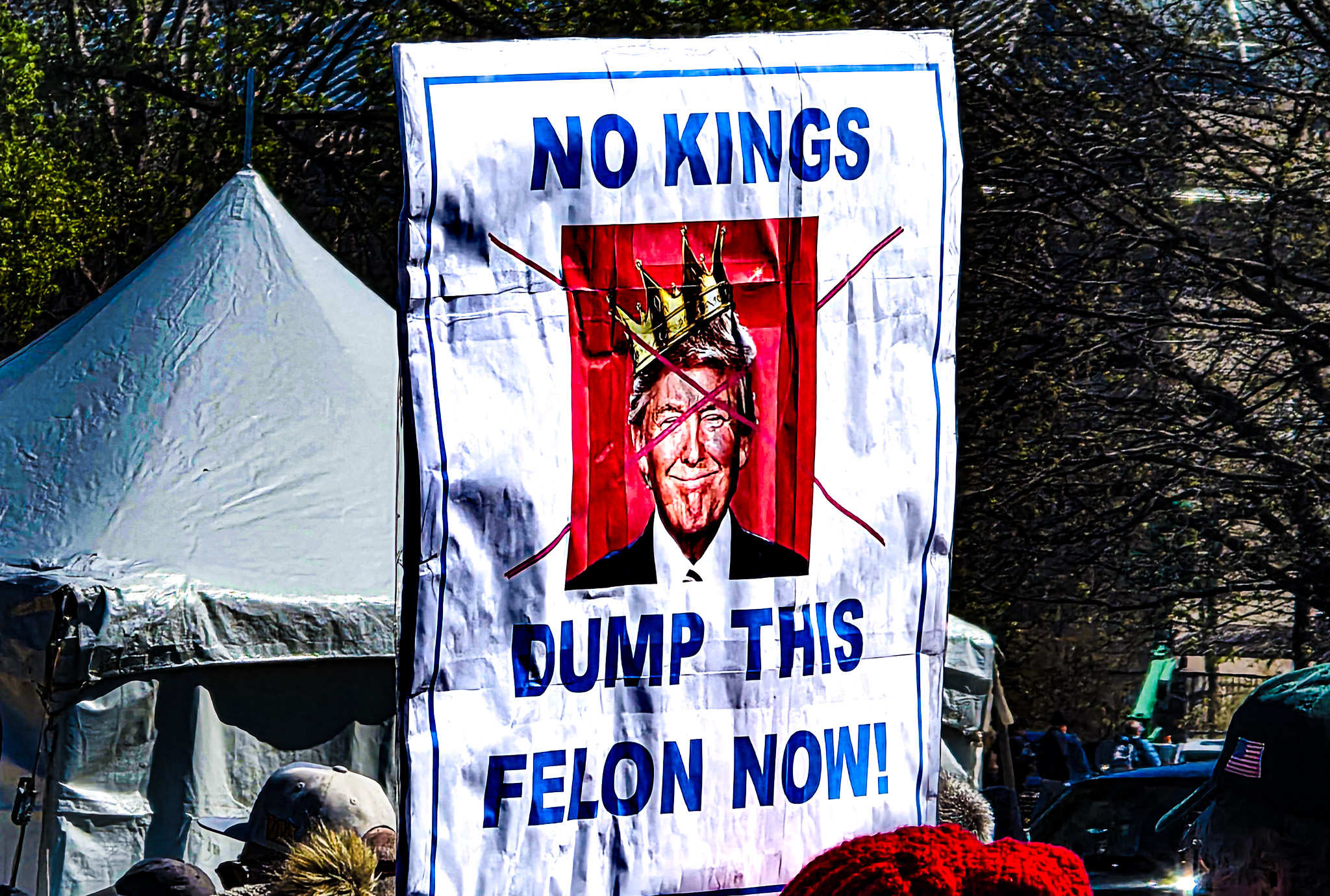 Dump Trump, The Felon